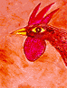 El Gallo