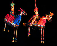 Rajastani Riders