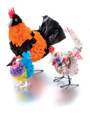 CHICKENS